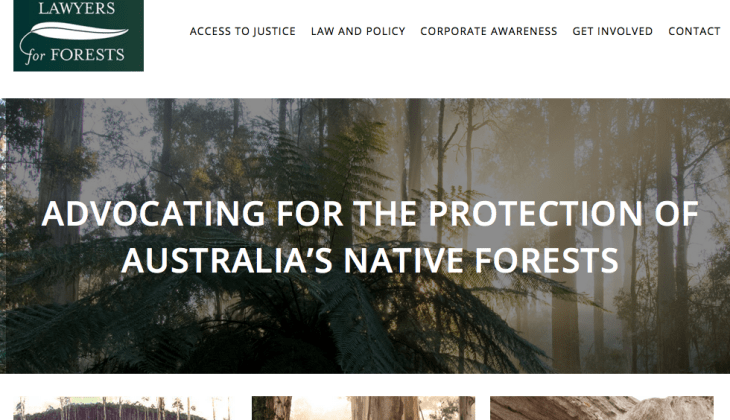 Environmental Legal Advocacy website design